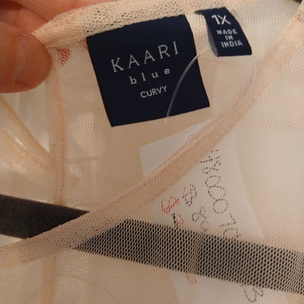 Kaari Blue Curvy Sheer Pink Embroidered Blouse - Picture 7 of 9